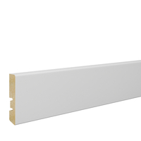 56x10 mm