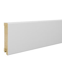 80x15 mm